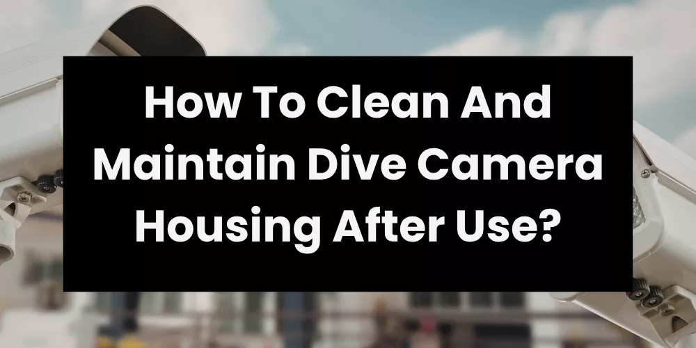 How To Clean And Maintain Dive Camera Housing After Use