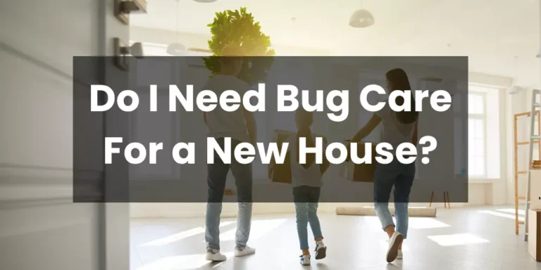 Do I Need Bug Care For a New House?