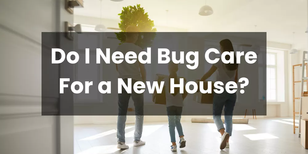 Do I Need Bug Care For a New House?