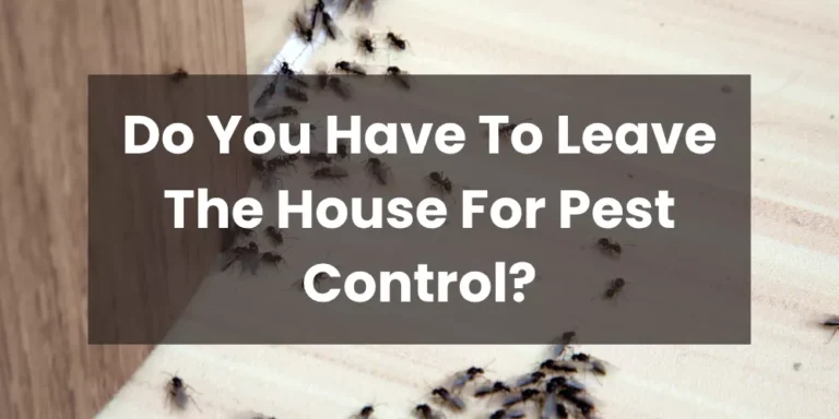 Do You Have To Leave The House For Pest Control?