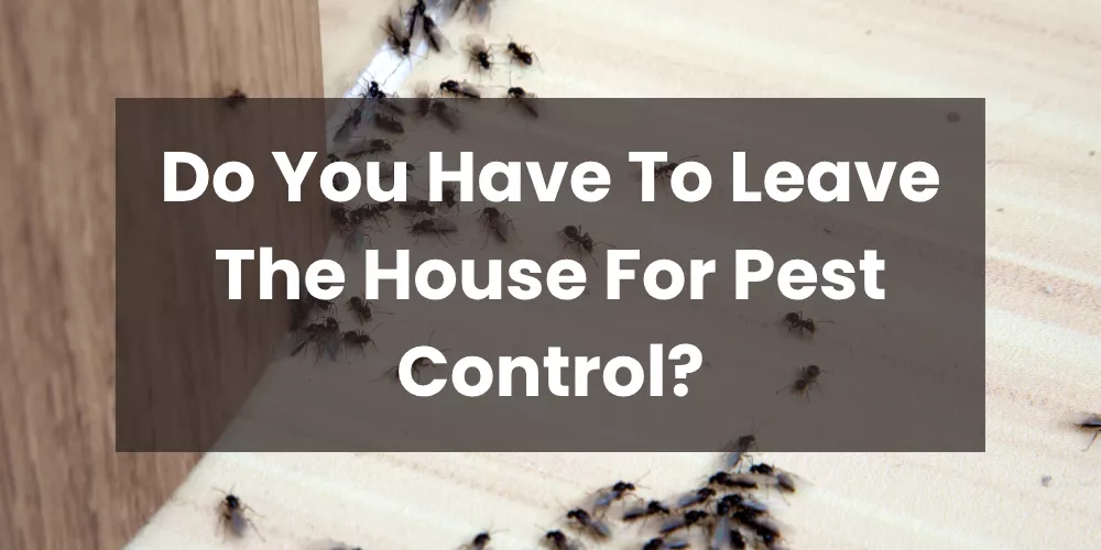 Do You Have To Leave The House For Pest Control?