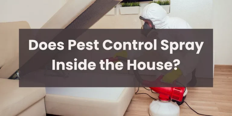 Does Pest Control Spray Inside the House?
