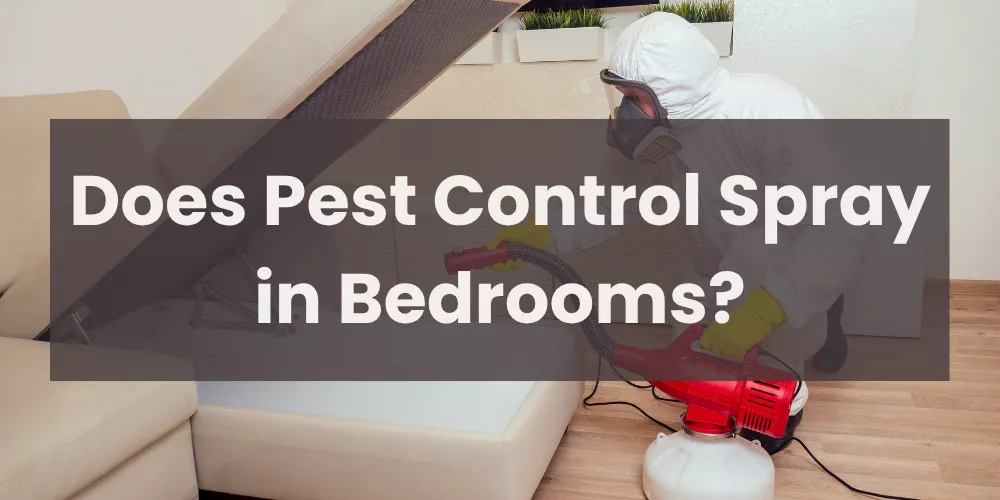 Does Pest Control Spray in Bedrooms?