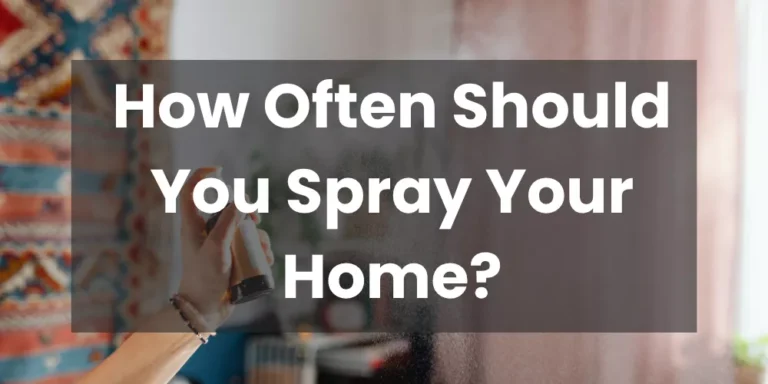 How Often Should You Spray Your Home?