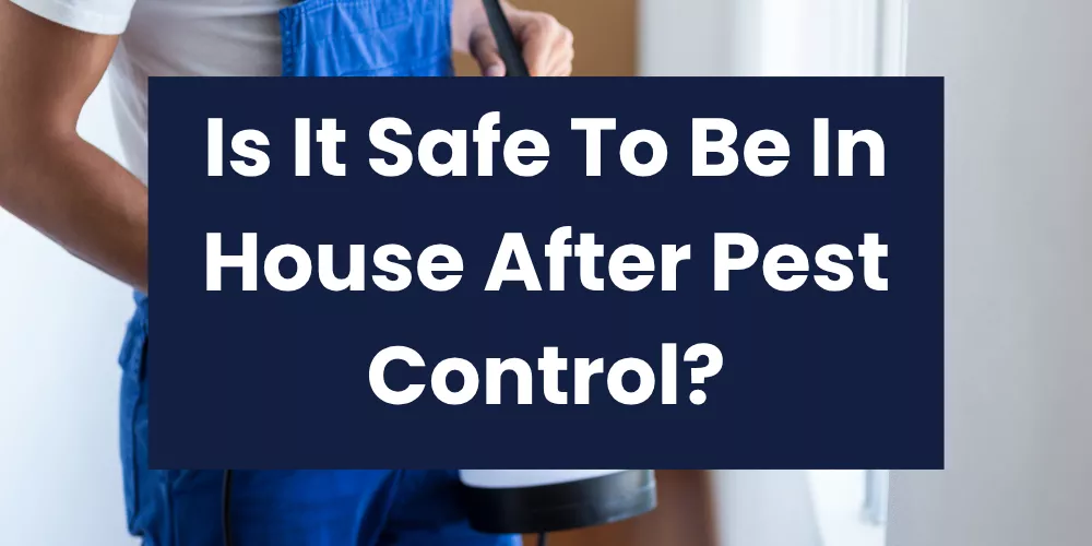 Is It Safe To Be In House After Pest Control?