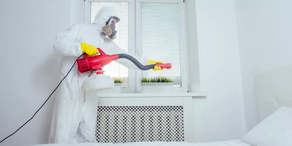 Pest Control Spray in Bedrooms