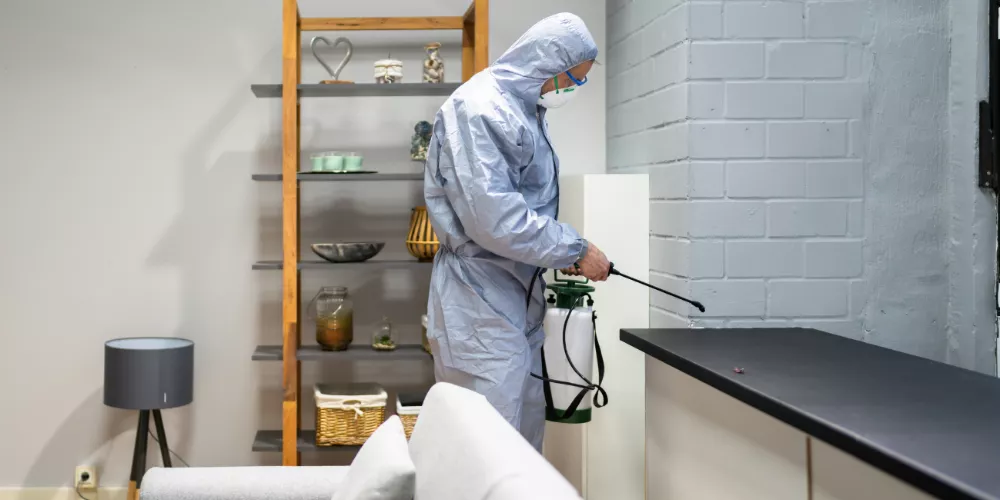 Pest Control image