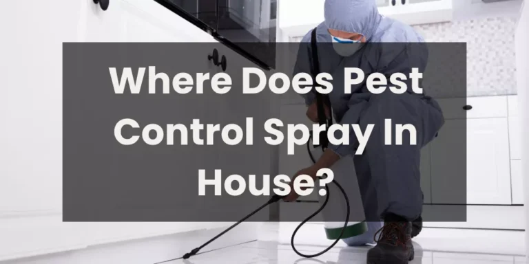 Where Does Pest Control Spray In House?