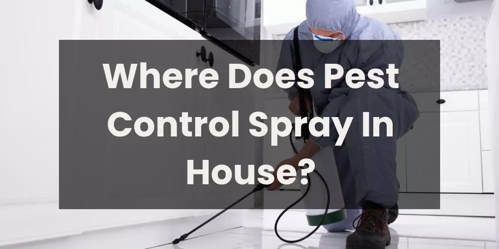 Where Does Pest Control Spray In House?