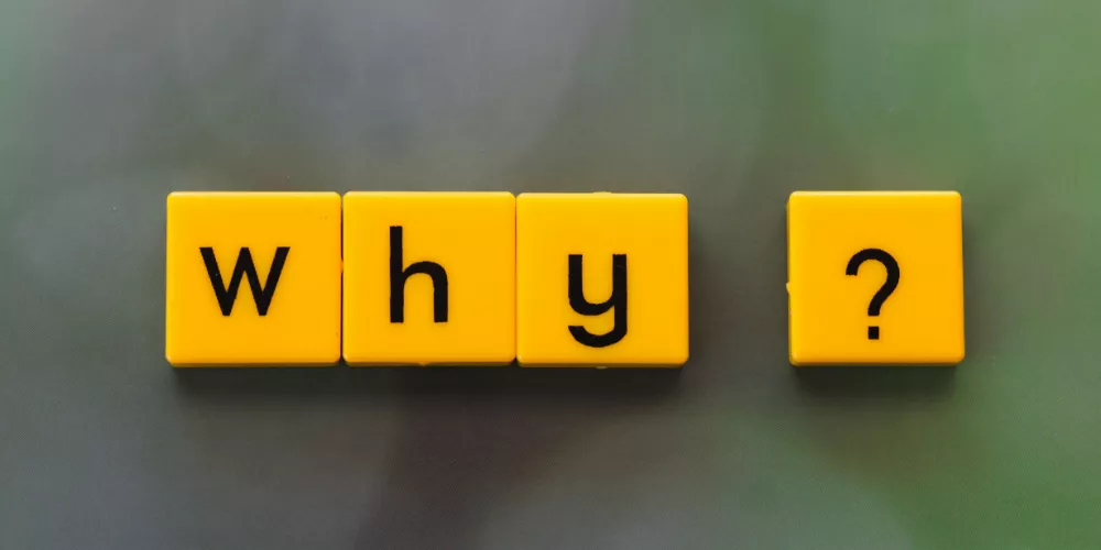 Why You Need a Pro Check Right Away